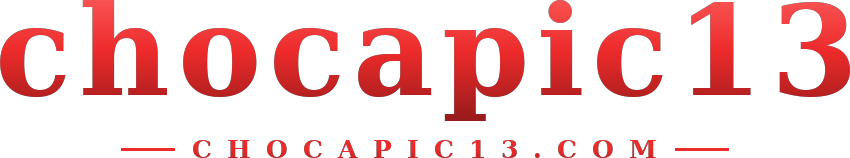chocapic13 logo